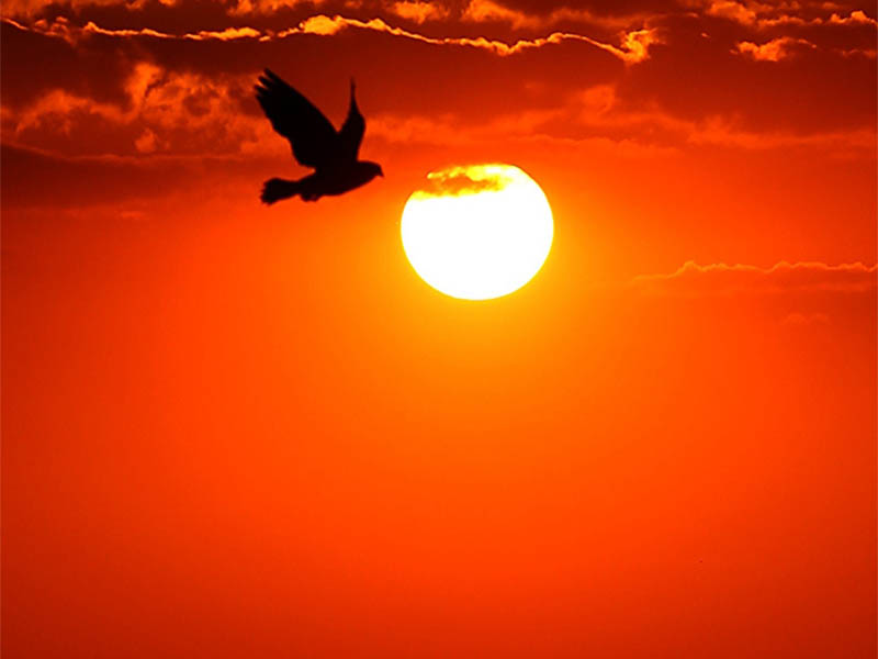 paisagem ensolarada