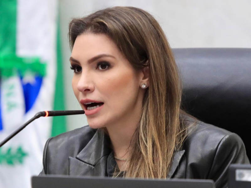 deputada maria victoria