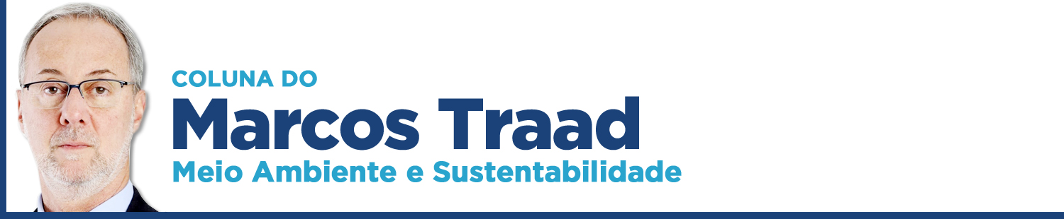 marcos traad