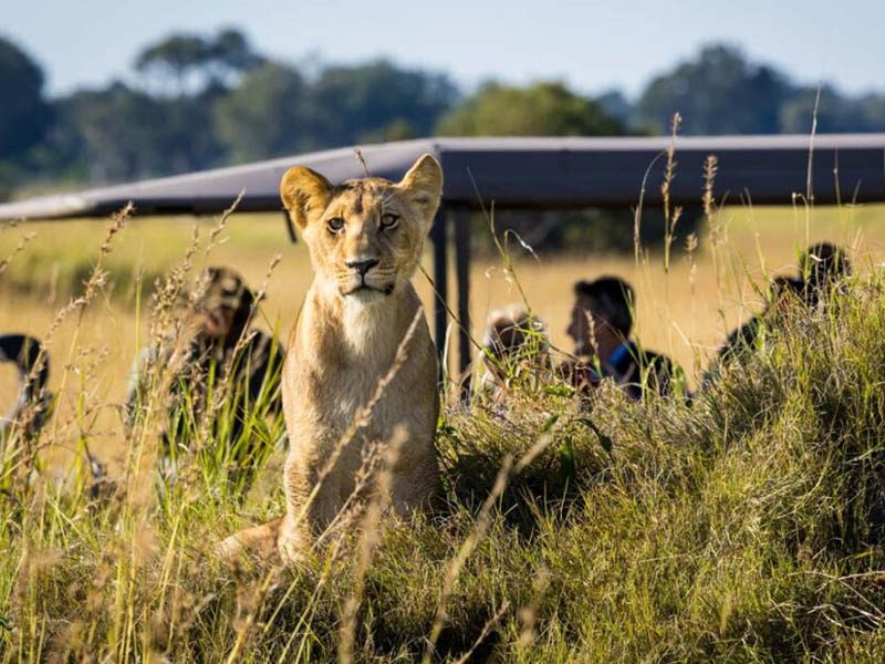 áfrica