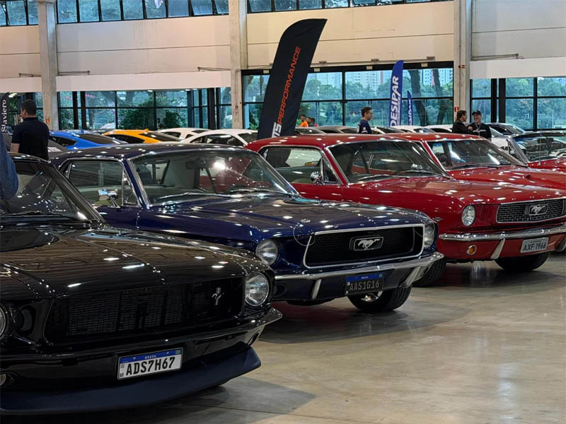 mustang