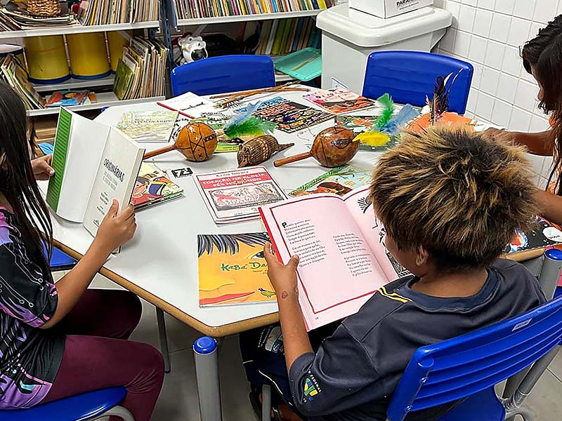 parana bibliotecas escolas