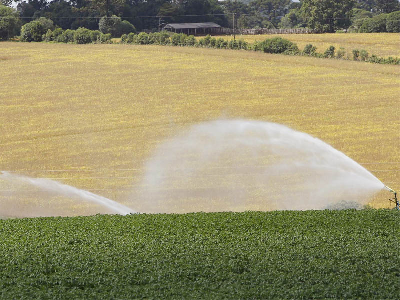 agricultura