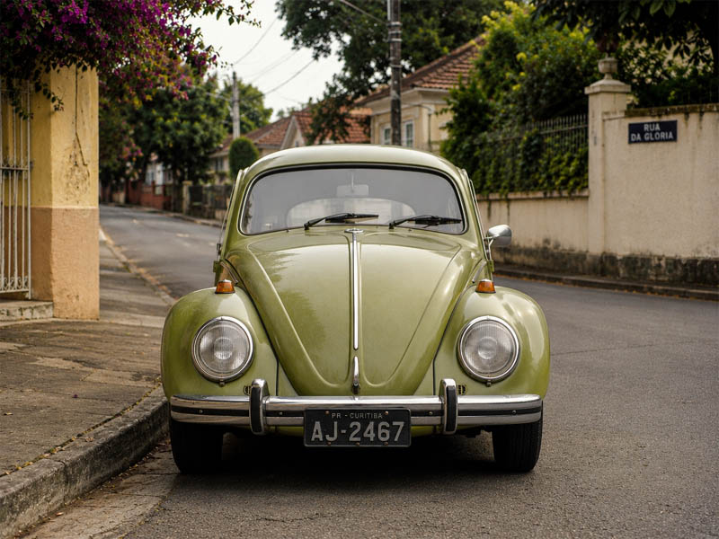 fusca