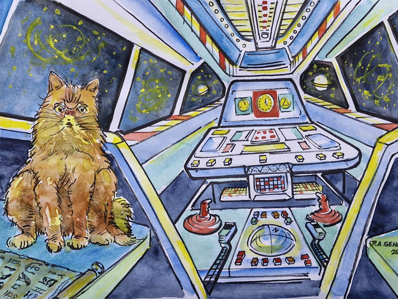 gato