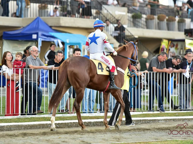 Jockey