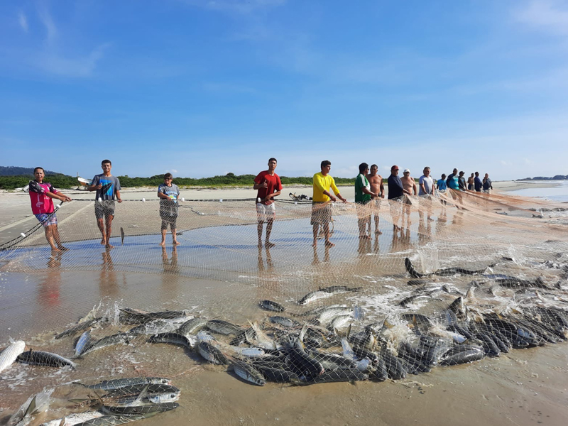 Festa da Tainha da Ilha do Mel – Nova Brasília
