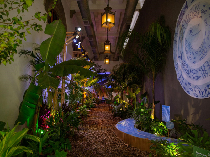 Histórias da Floresta - Caixa Cultural