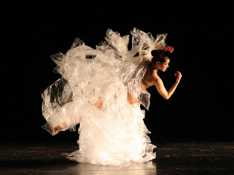 dança