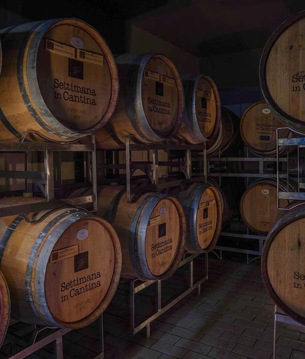 settimana in cantina vinho barris
